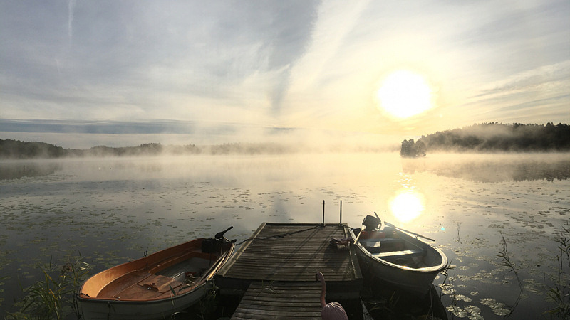 Sverkskog i Sverkersholm